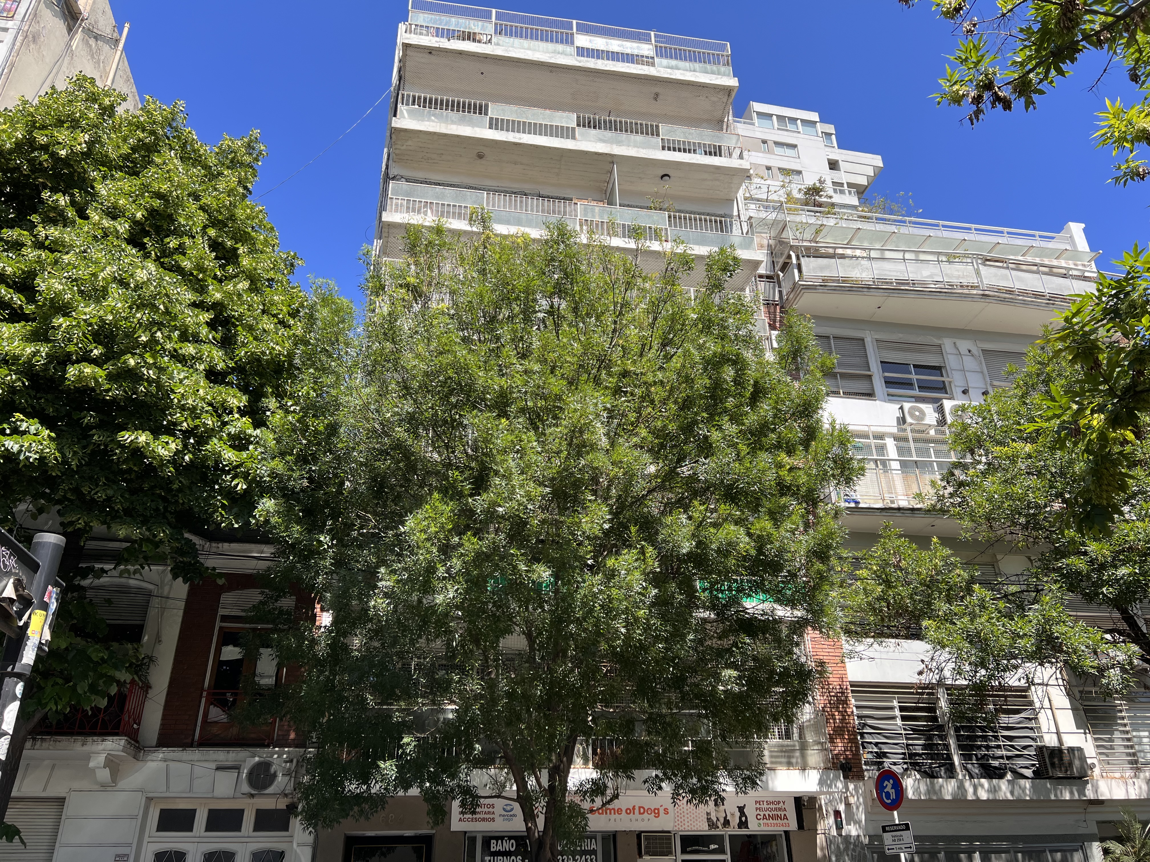 Caballito Campichuelo 684